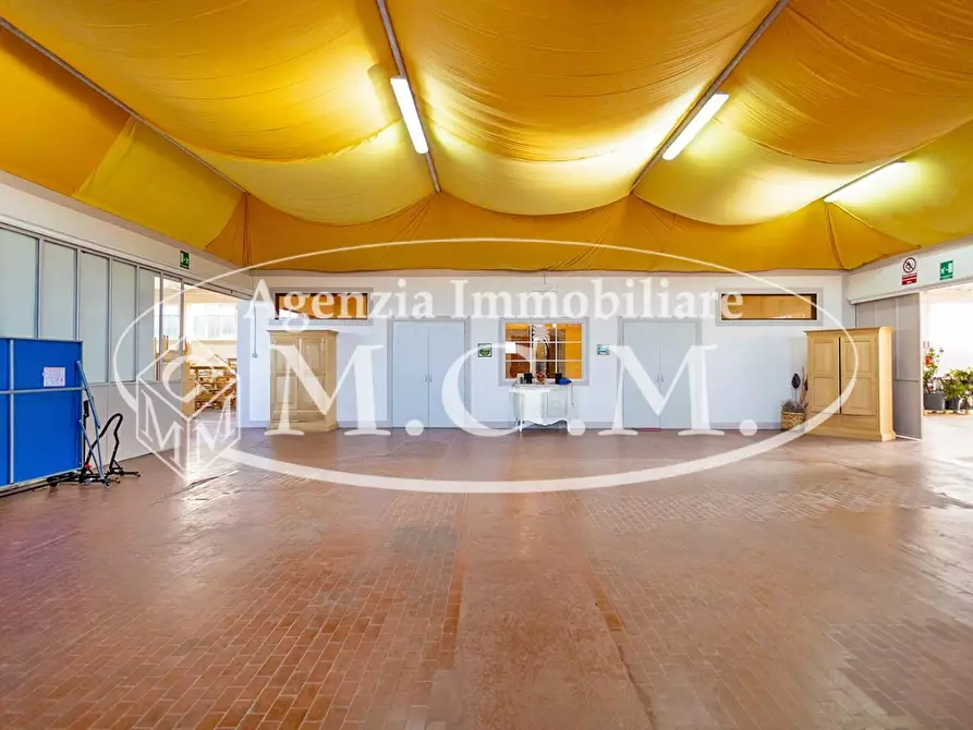 Immagine 13 di Attività artigianale in vendita  a Casciana Terme Lari