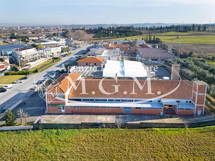 Immagine 6 di Attività artigianale in vendita  a Casciana Terme Lari