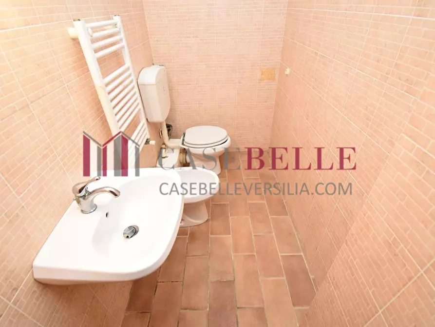 Immagine 19 di Appartamento in vendita  a Camaiore