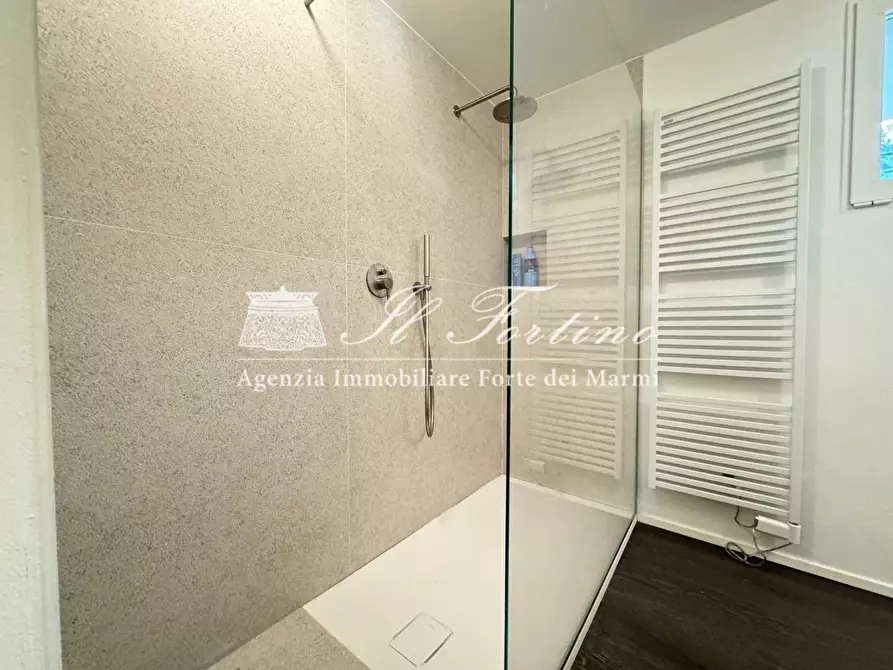 Immagine 50 di Villa in vendita  a Forte Dei Marmi