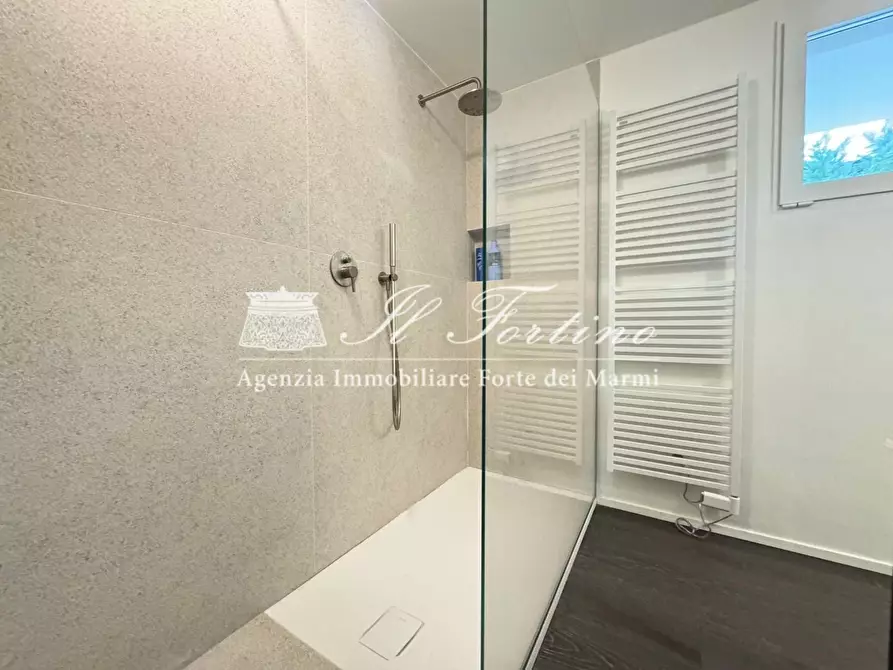Immagine 23 di Villa in vendita  a Forte Dei Marmi