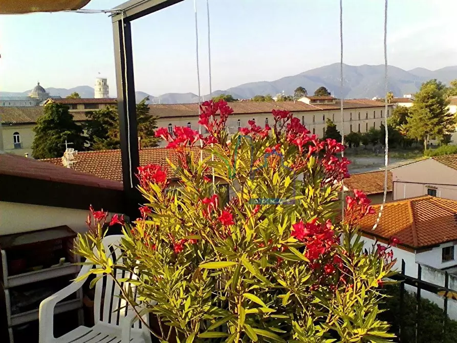 Immagine 19 di Mansarda in vendita  a Pisa