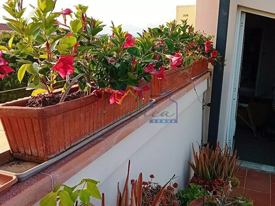 Immagine 14 di Mansarda in vendita  a Pisa