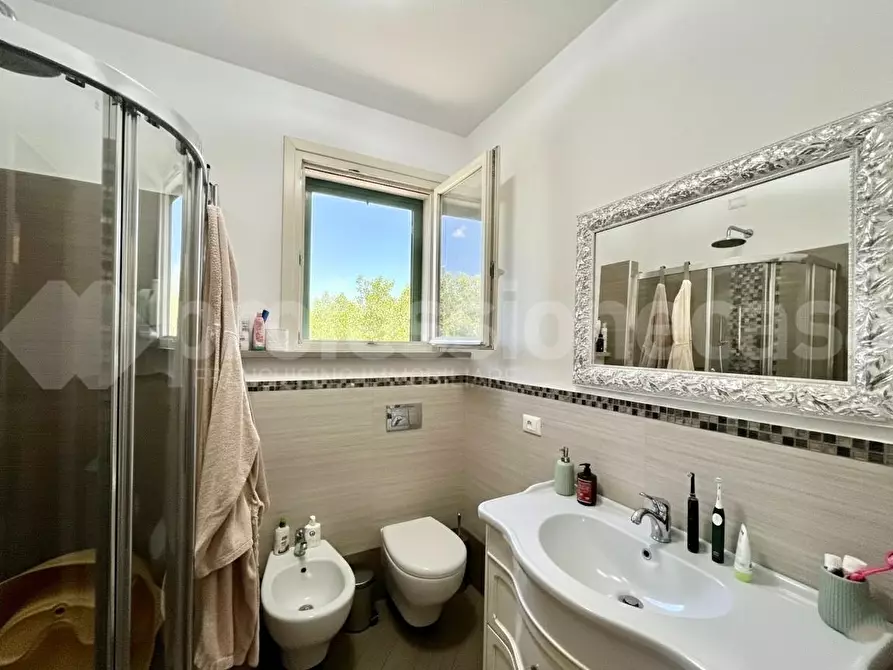 Immagine 16 di Appartamento in vendita  a San Giuliano Terme