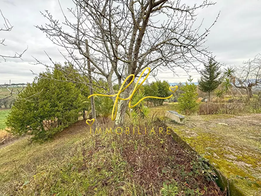 Immagine 3 di Terreno agricolo in vendita  a Rosignano Marittimo