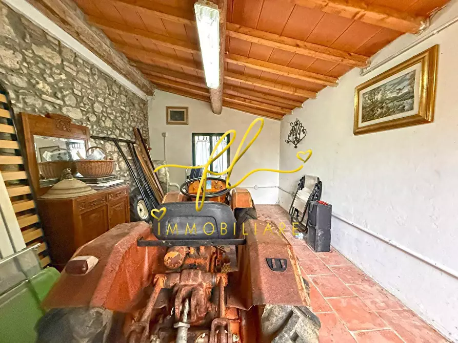 Immagine 13 di Terreno agricolo in vendita  a Rosignano Marittimo