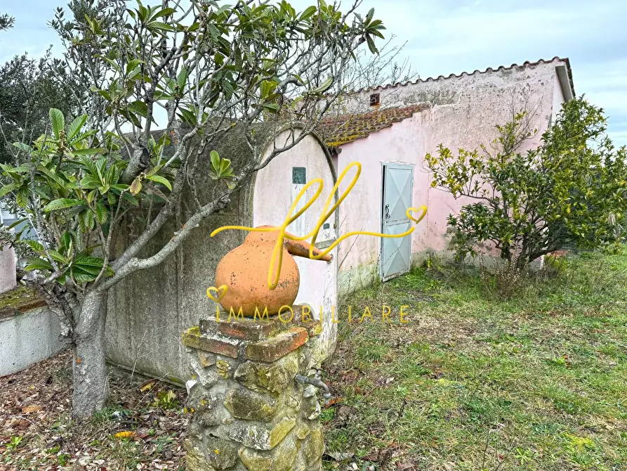 Immagine 5 di Terreno agricolo in vendita  a Rosignano Marittimo