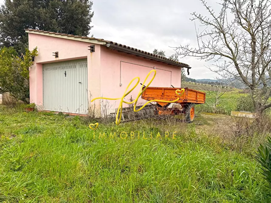 Immagine 11 di Terreno agricolo in vendita  a Rosignano Marittimo