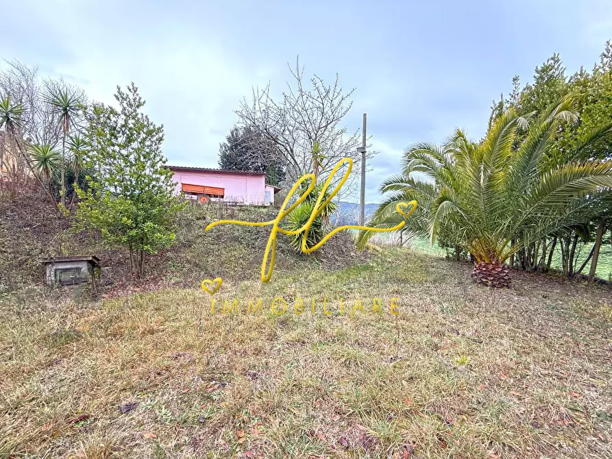 Immagine 8 di Terreno agricolo in vendita  a Rosignano Marittimo