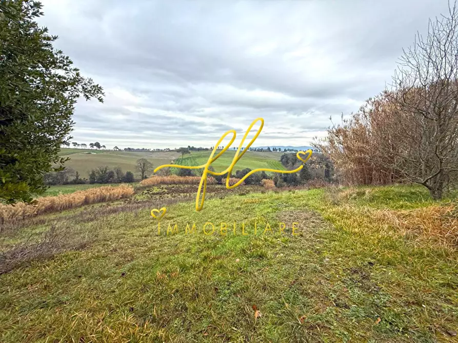 Immagine 4 di Terreno agricolo in vendita  a Rosignano Marittimo