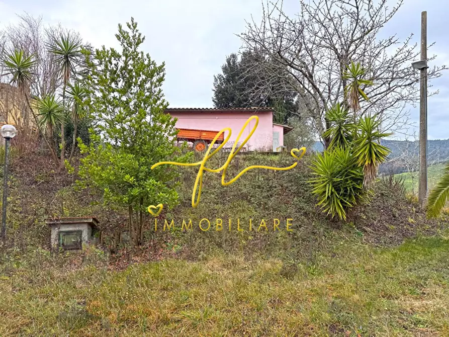 Immagine 15 di Terreno agricolo in vendita  a Rosignano Marittimo