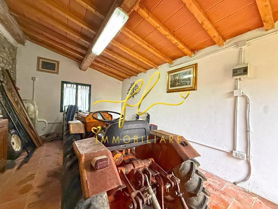 Immagine 12 di Terreno agricolo in vendita  a Rosignano Marittimo