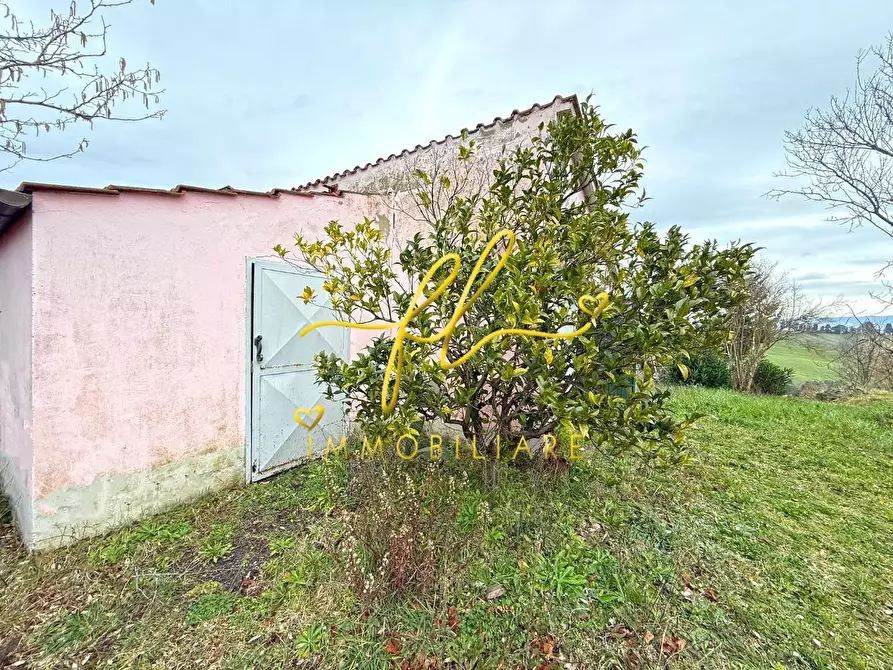 Immagine 10 di Terreno agricolo in vendita  a Rosignano Marittimo