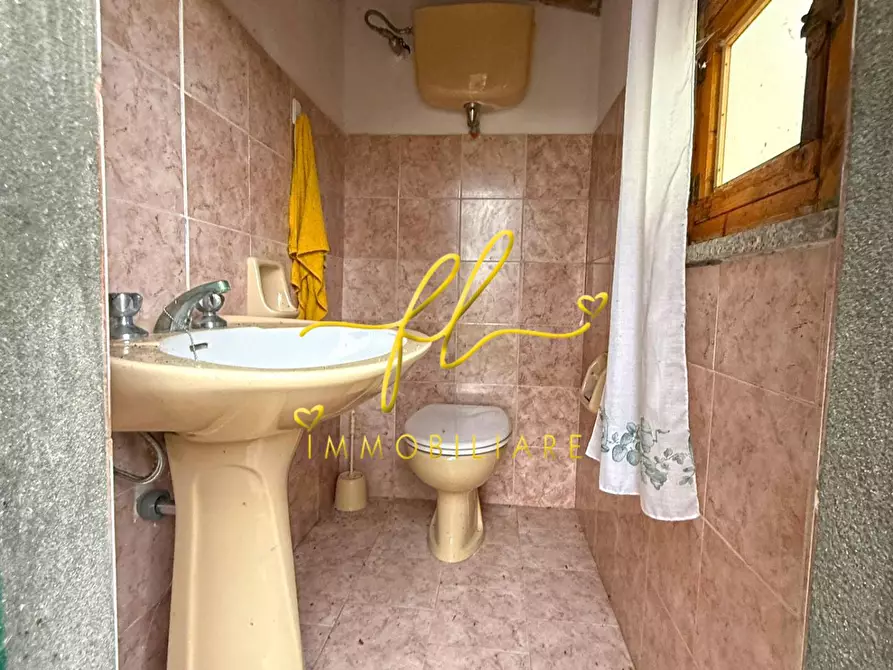 Immagine 7 di Terreno agricolo in vendita  a Rosignano Marittimo