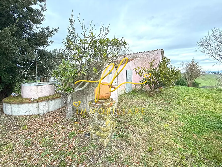 Immagine 1 di Terreno agricolo in vendita  a Rosignano Marittimo