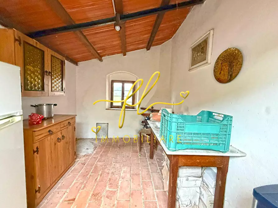 Immagine 6 di Terreno agricolo in vendita  a Rosignano Marittimo