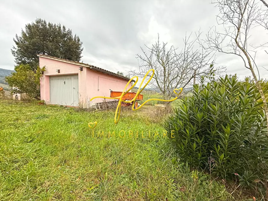 Immagine 14 di Terreno agricolo in vendita  a Rosignano Marittimo