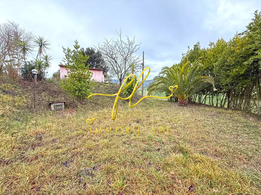Immagine 2 di Terreno agricolo in vendita  a Rosignano Marittimo