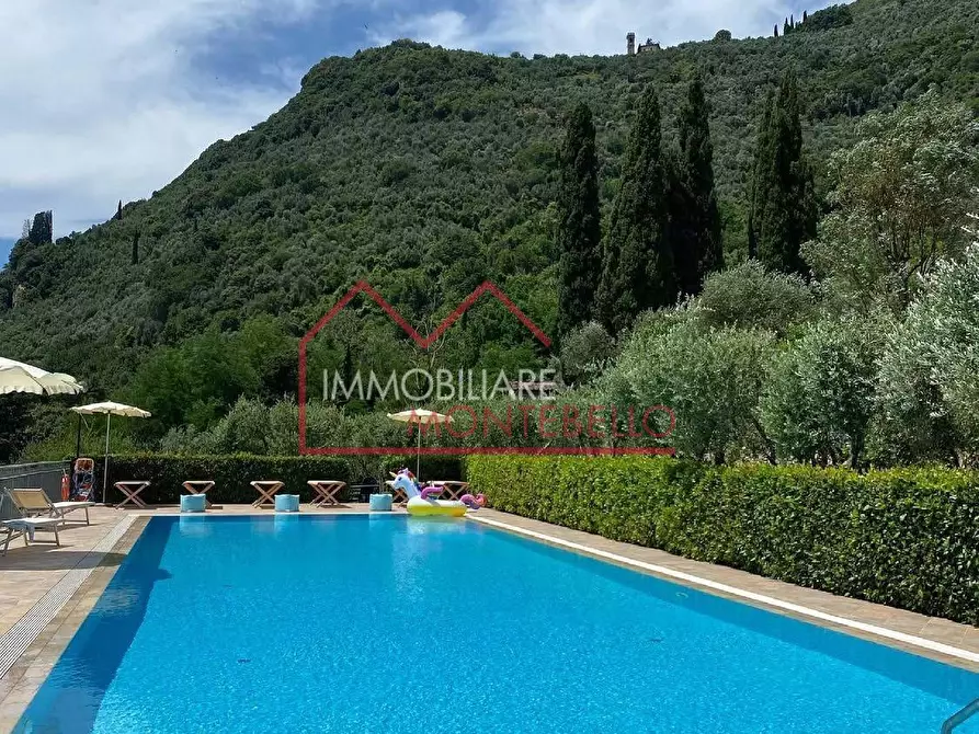 Immagine 2 di Villa in vendita  a Camaiore