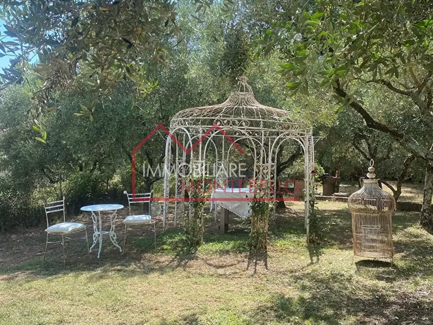 Immagine 24 di Villa in vendita  a Camaiore