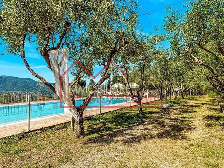 Immagine 12 di Villa in vendita  a Camaiore