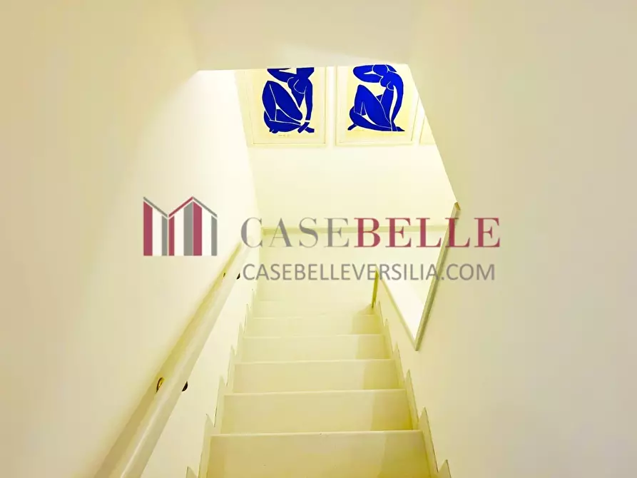 Immagine 52 di Appartamento in affitto  a Forte Dei Marmi