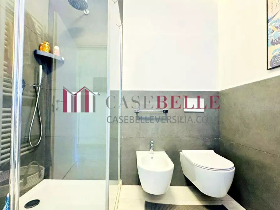 Immagine 33 di Casa semindipendente in affitto  a Forte Dei Marmi