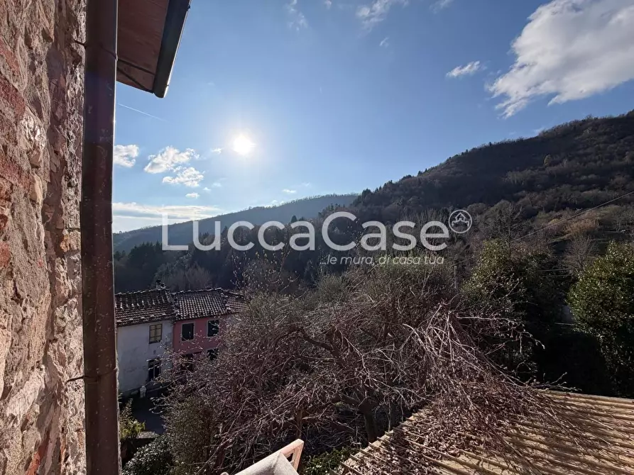 Immagine 23 di Villa in vendita  a Borgo A Mozzano