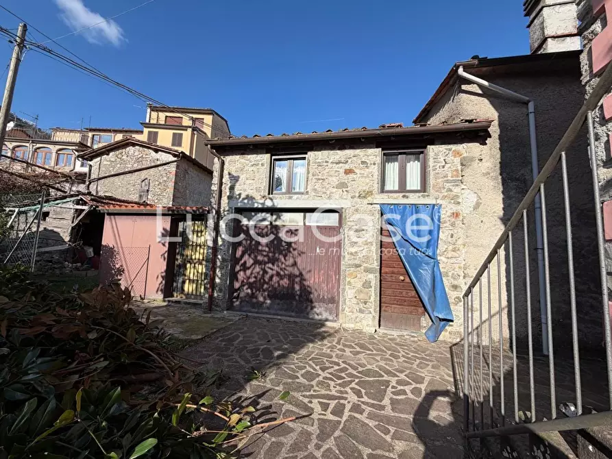 Immagine 26 di Villa in vendita  a Borgo A Mozzano