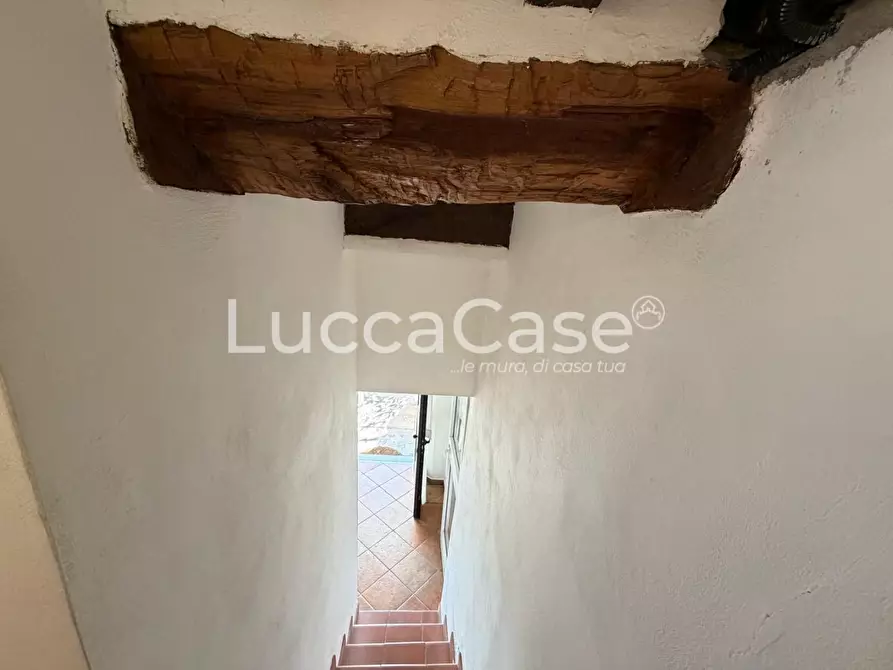 Immagine 25 di Villa in vendita  a Borgo A Mozzano