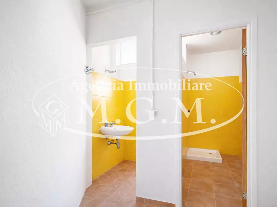 Immagine 13 di Attività artigianale in vendita  a Casciana Terme Lari