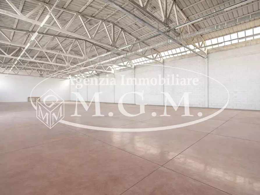 Immagine 7 di Attività artigianale in vendita  a Casciana Terme Lari