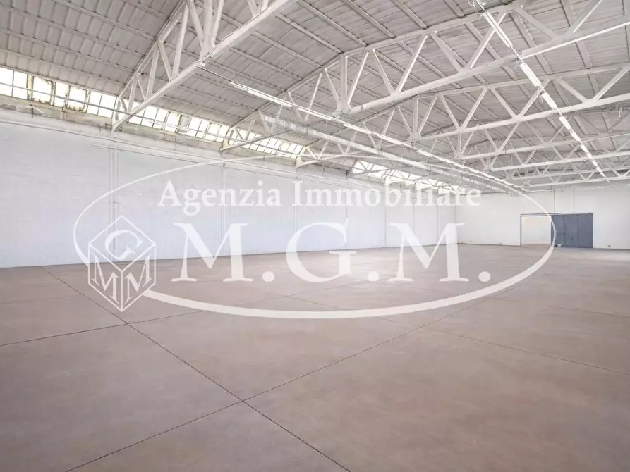 Immagine 4 di Attività artigianale in vendita  a Casciana Terme Lari