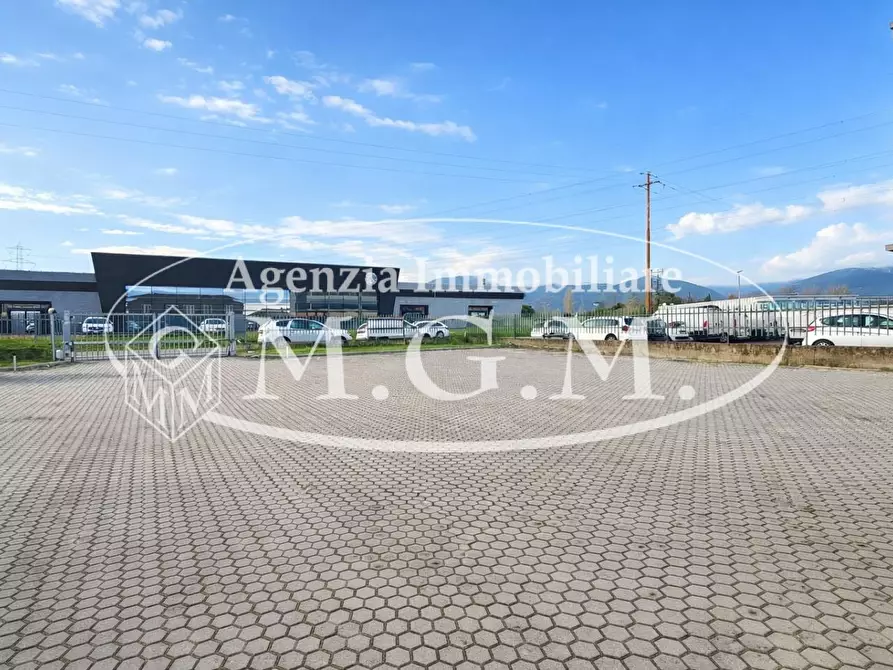 Immagine 14 di Attività artigianale in affitto  a Bientina