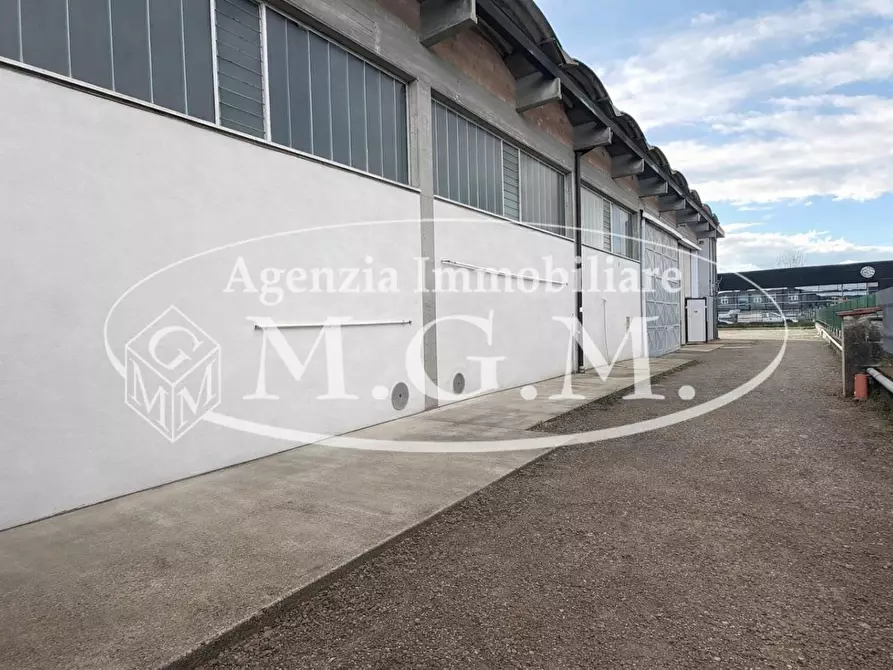 Immagine 11 di Attività artigianale in affitto  a Bientina