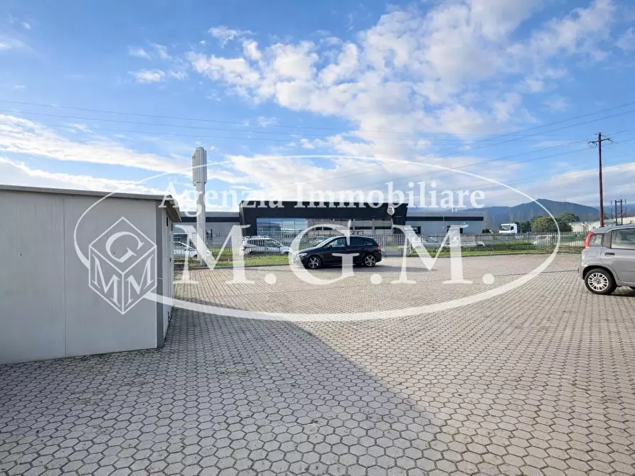 Immagine 12 di Attività artigianale in affitto  a Bientina