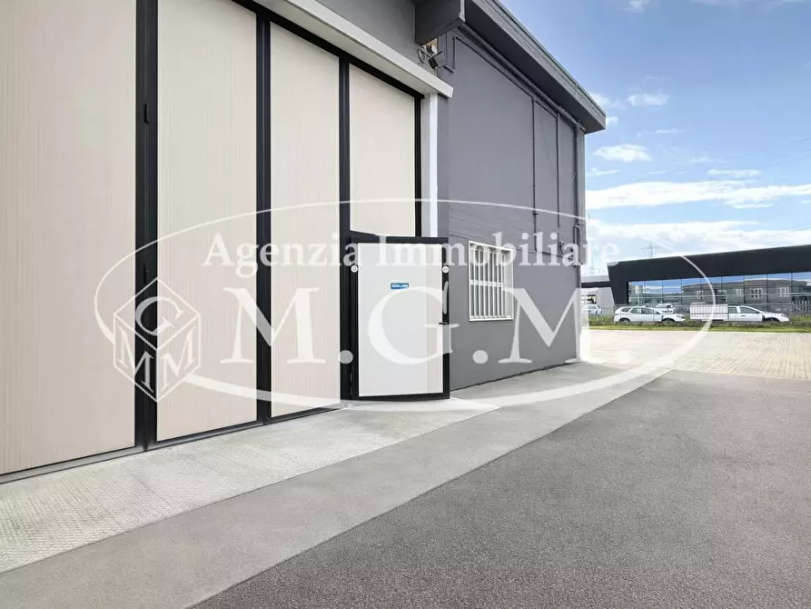 Immagine 9 di Attività artigianale in affitto  a Bientina