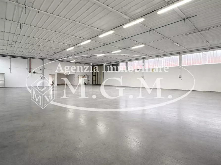 Immagine 16 di Attività artigianale in affitto  a Bientina