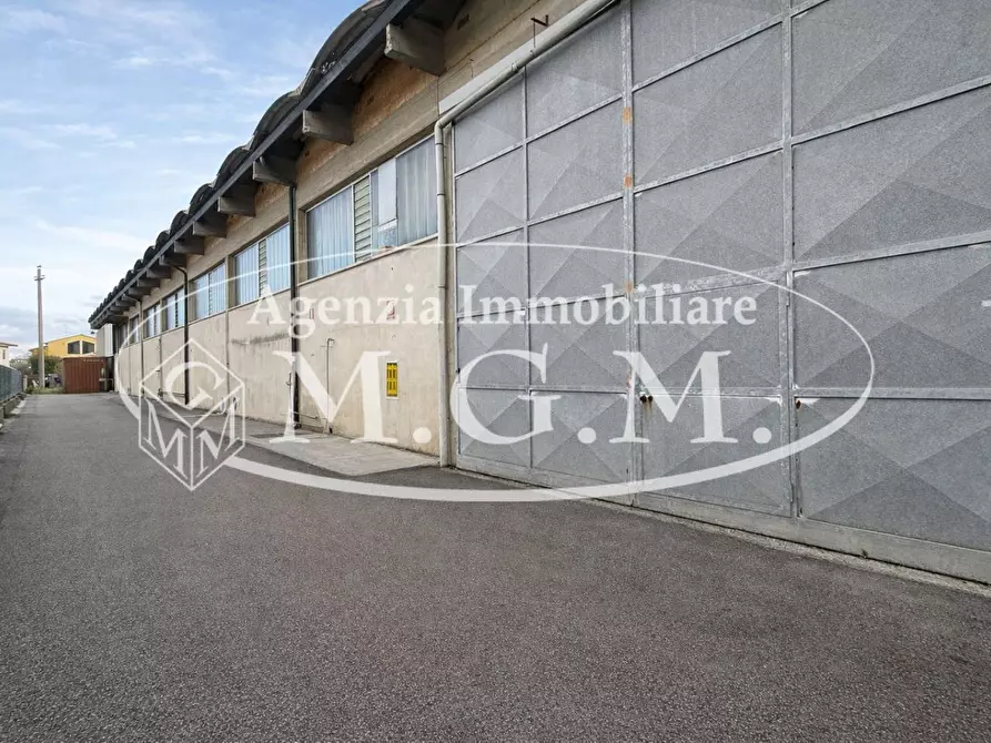 Immagine 10 di Attività artigianale in affitto  a Bientina