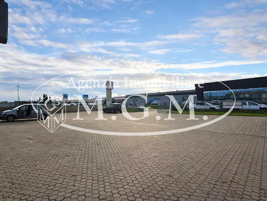 Immagine 15 di Attività artigianale in affitto  a Bientina