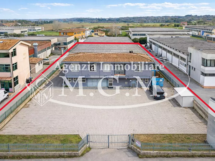 Immagine 2 di Attività artigianale in affitto  a Bientina