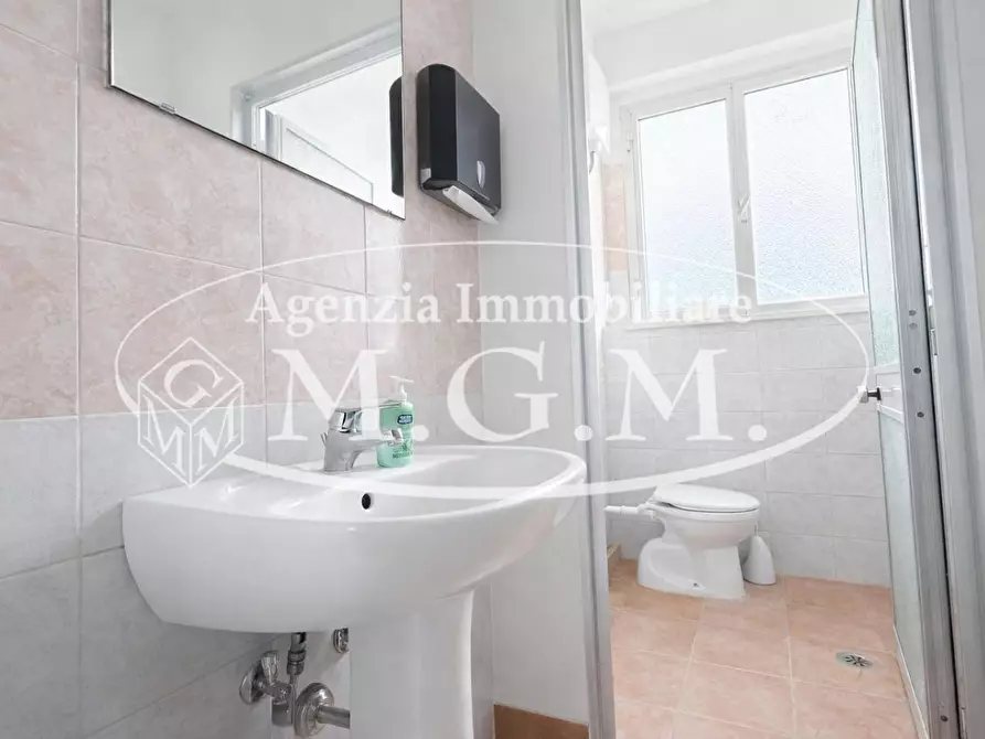 Immagine 26 di Attività artigianale in affitto  a Bientina