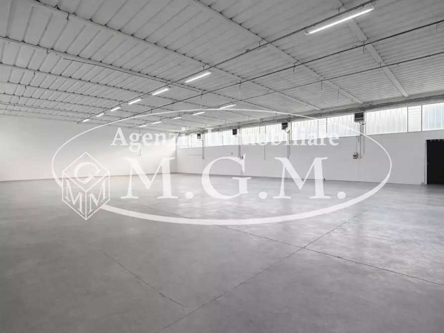 Immagine 18 di Attività artigianale in affitto  a Bientina