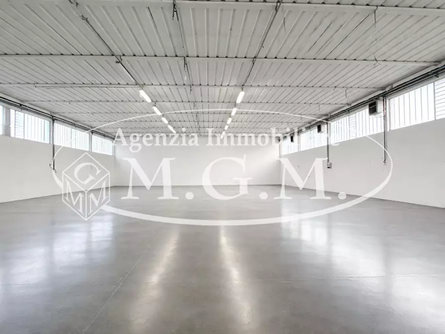 Immagine 17 di Attività artigianale in affitto  a Bientina