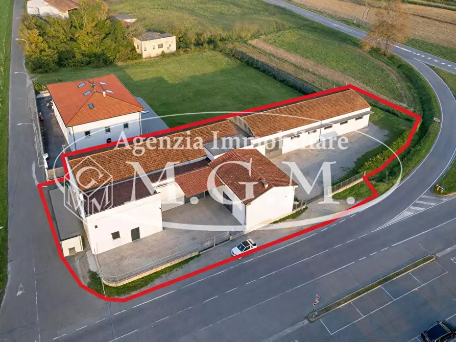 Immagine 3 di Attività artigianale in vendita  a Vicopisano