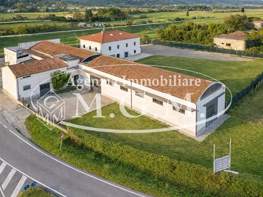 Immagine 4 di Attività artigianale in vendita  a Vicopisano