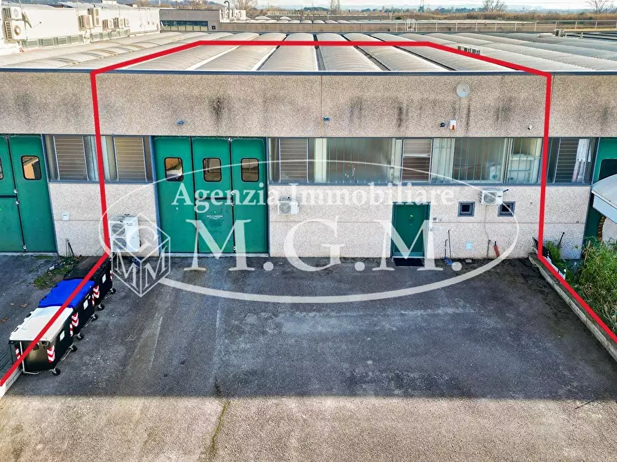 Immagine 1 di Attività artigianale in vendita  a Vicopisano