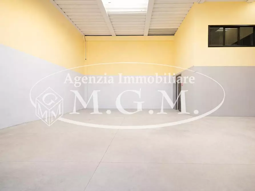 Immagine 11 di Attività artigianale in vendita  a Vicopisano