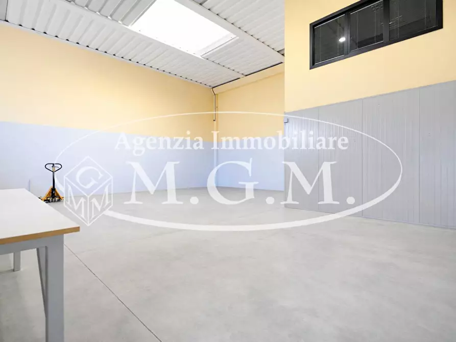 Immagine 10 di Attività artigianale in vendita  a Vicopisano