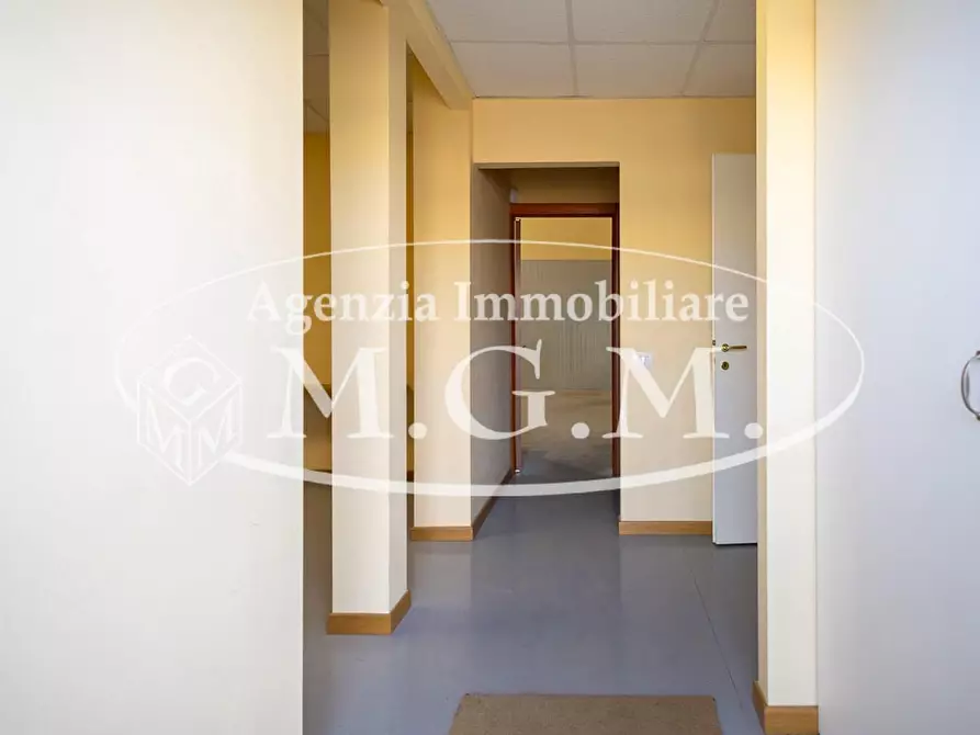 Immagine 7 di Attività artigianale in vendita  a Vicopisano